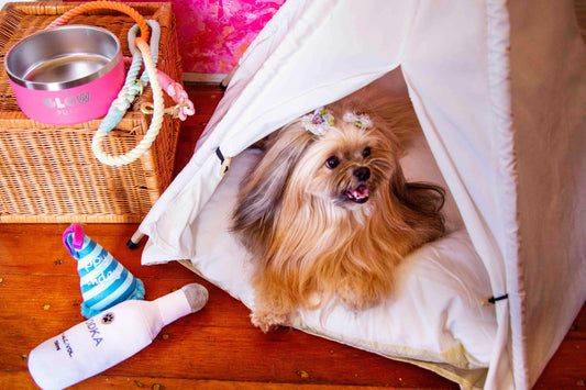 Pet Teepees - Adorable and Functional