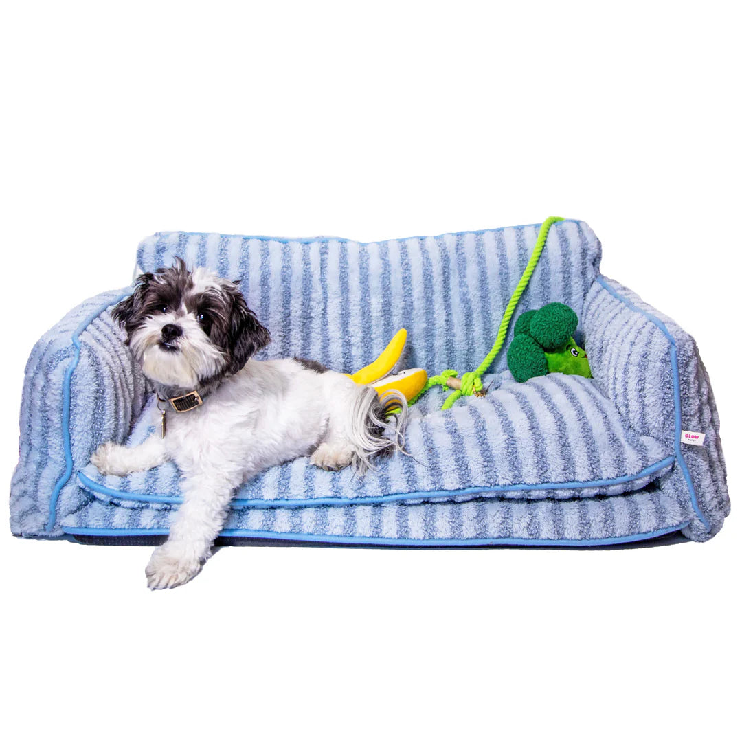 Innovative Puppy Beds Your Dog Will Love Comfort Meets Technology Glow Pups