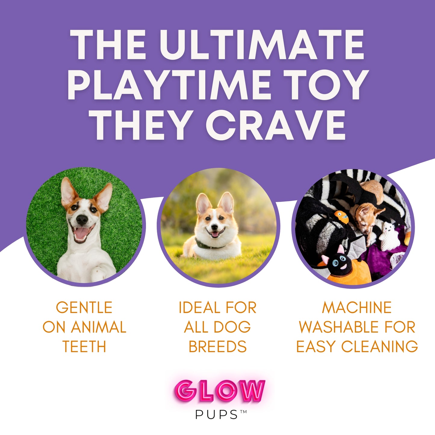 Halloween Jack O Lantern Hide and Seek Dog Toy that Squeaks and Crinkles - Glow Pups