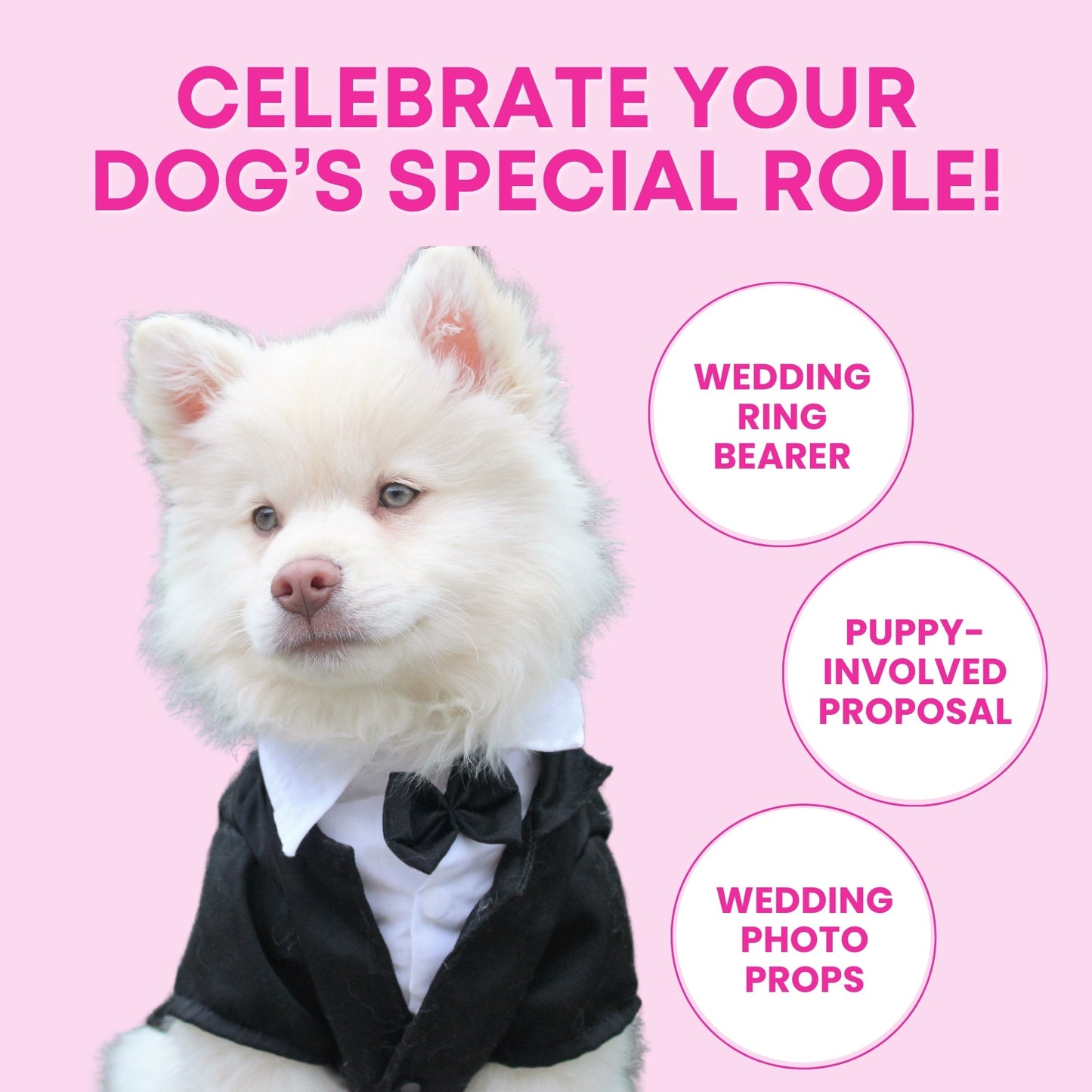 Squeaky Engagement Ring Dog Toy - Glow Pups