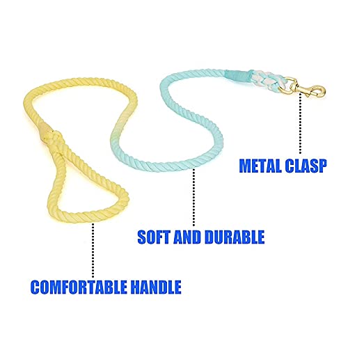 Sunshine Waves Tie Dye Leash 🌊 - Glow Pups