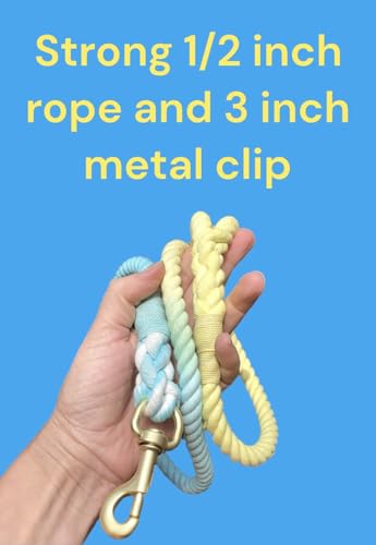 Sunshine Waves Tie Dye Leash 🌊 - Glow Pups