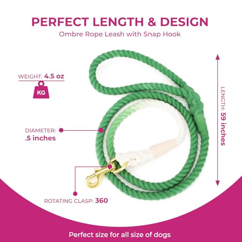 Green Ombre Boho Chic Dog Leash - Glow Pups