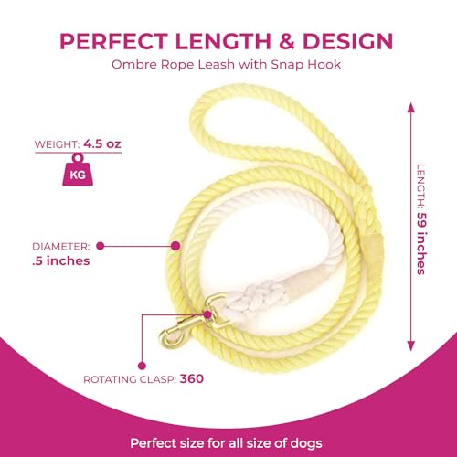 Sunshine Braided Ombre Leash - Glow Pups