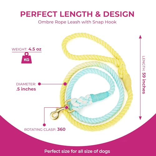 Sunshine Waves Tie Dye Leash 🌊 - Glow Pups