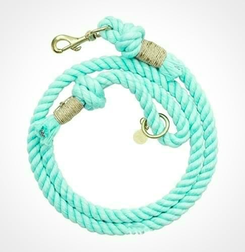 Turquoise Boho Chic Style Leash - Glow Pups