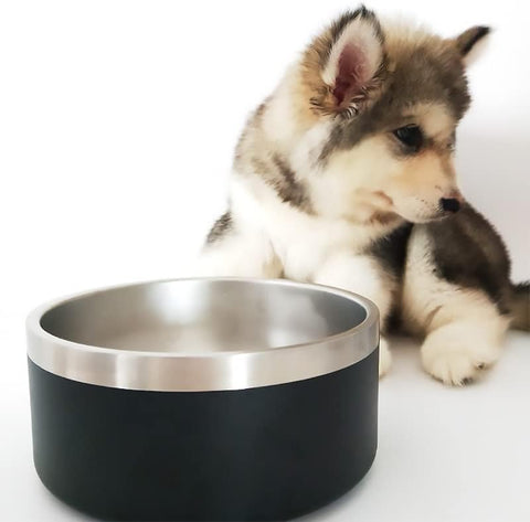 Glow Pups Insulated Stainless Steel Dog Bowl - 32oz and 64oz
