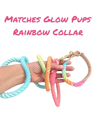 Rainbow Tie Dye Leash - Glow Pups