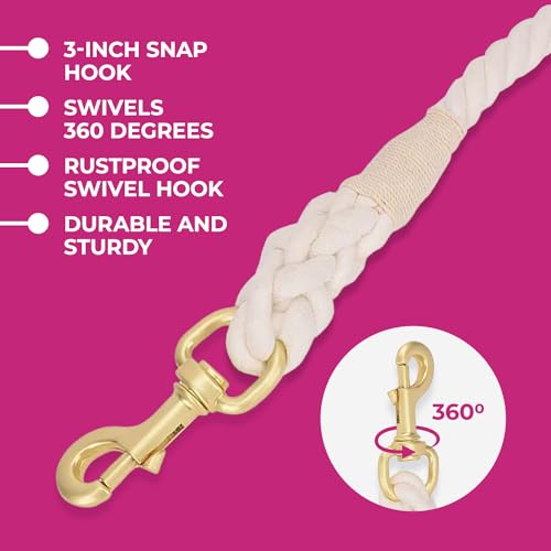 Sunshine Braided Ombre Leash - Glow Pups