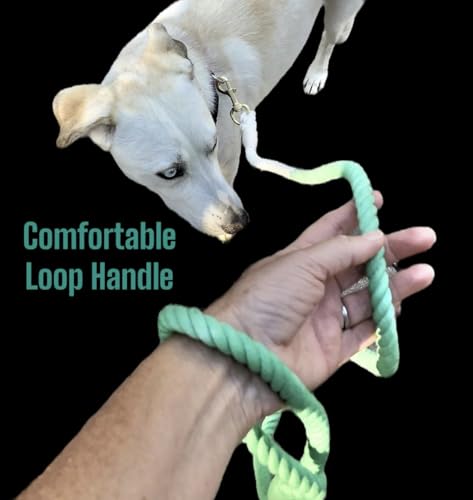 Green Ombre Boho Chic Dog Leash - Glow Pups
