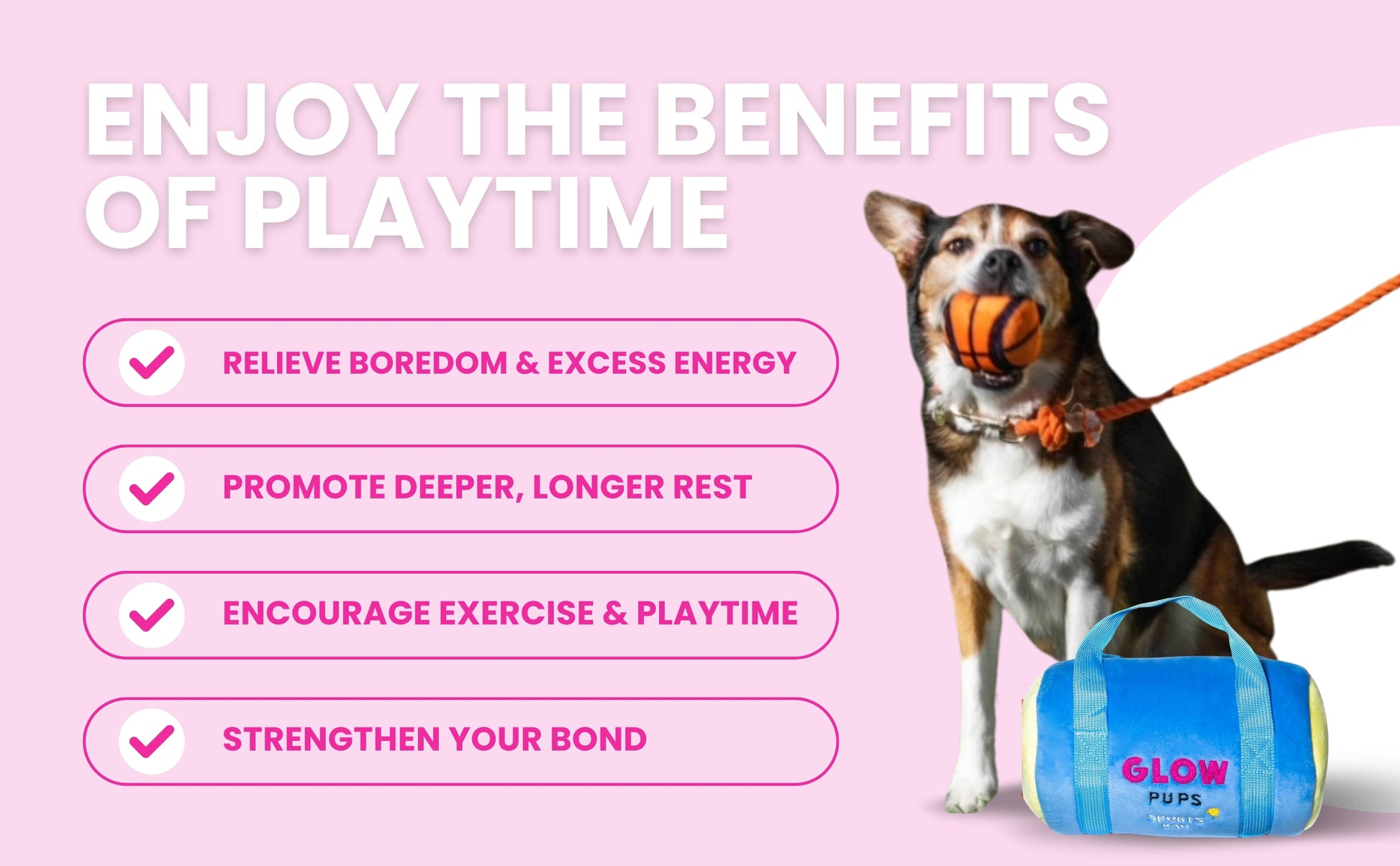 Sports Bag Hide & Seek Dog Toys - Glow Pups