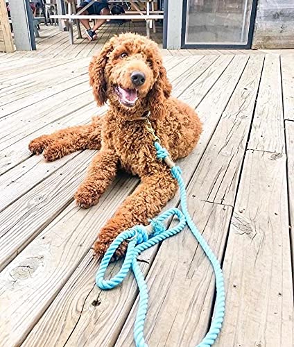 Light Blue Boho Chic Style Rope Leash - Glow Pups