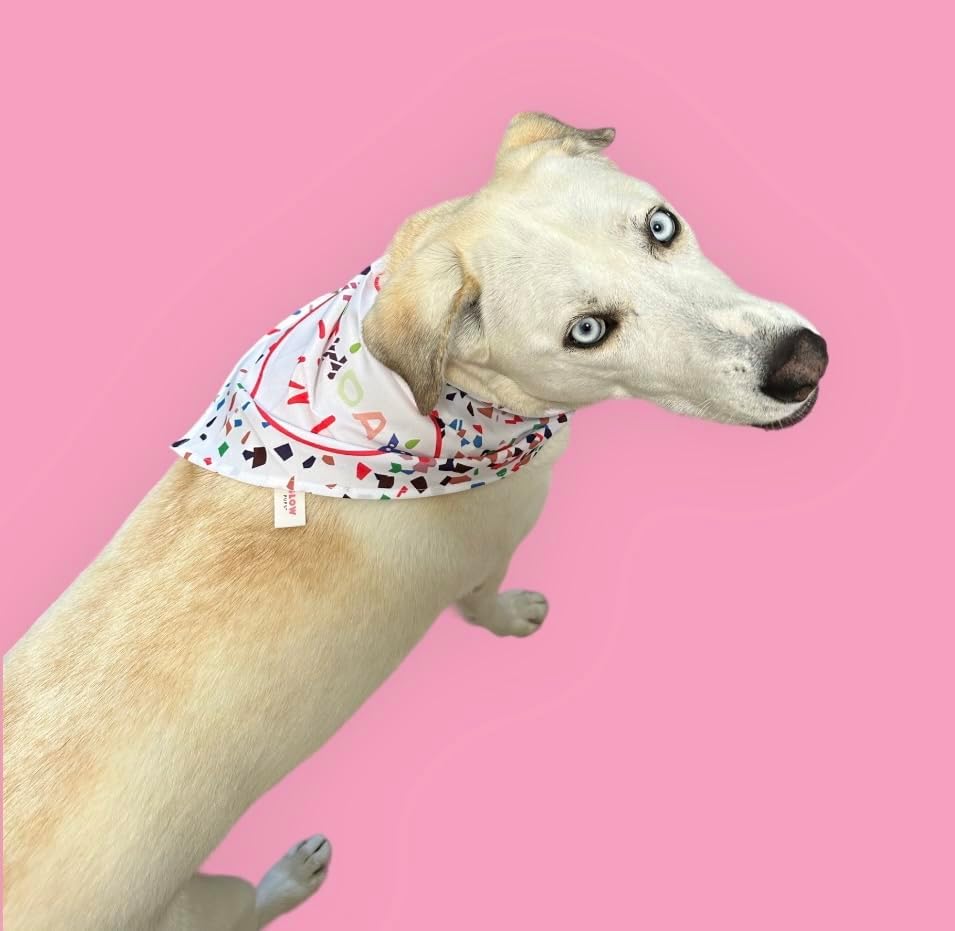 Birthday Bandanas - Glow Pups