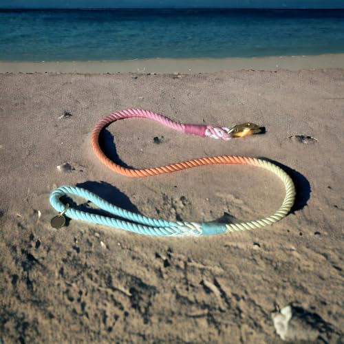 Rainbow Tie Dye Leash - Glow Pups