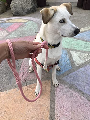 Pink and White Tie Dye Dog Leash - Glow Pups