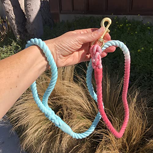 Pink and Blue Tie Dye Dog Leash - Glow Pups