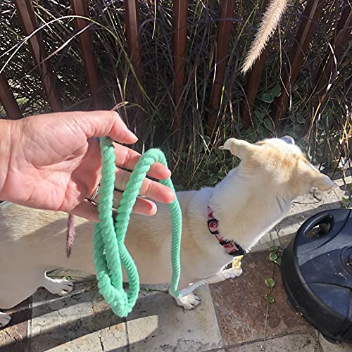 Green Ombre Boho Chic Dog Leash - Glow Pups