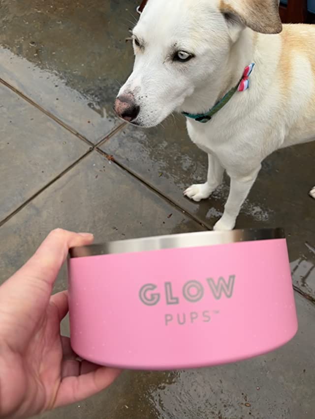 Light Pink Stainless Steel Dog Bowl - 32oz & 64oz - Glow Pups