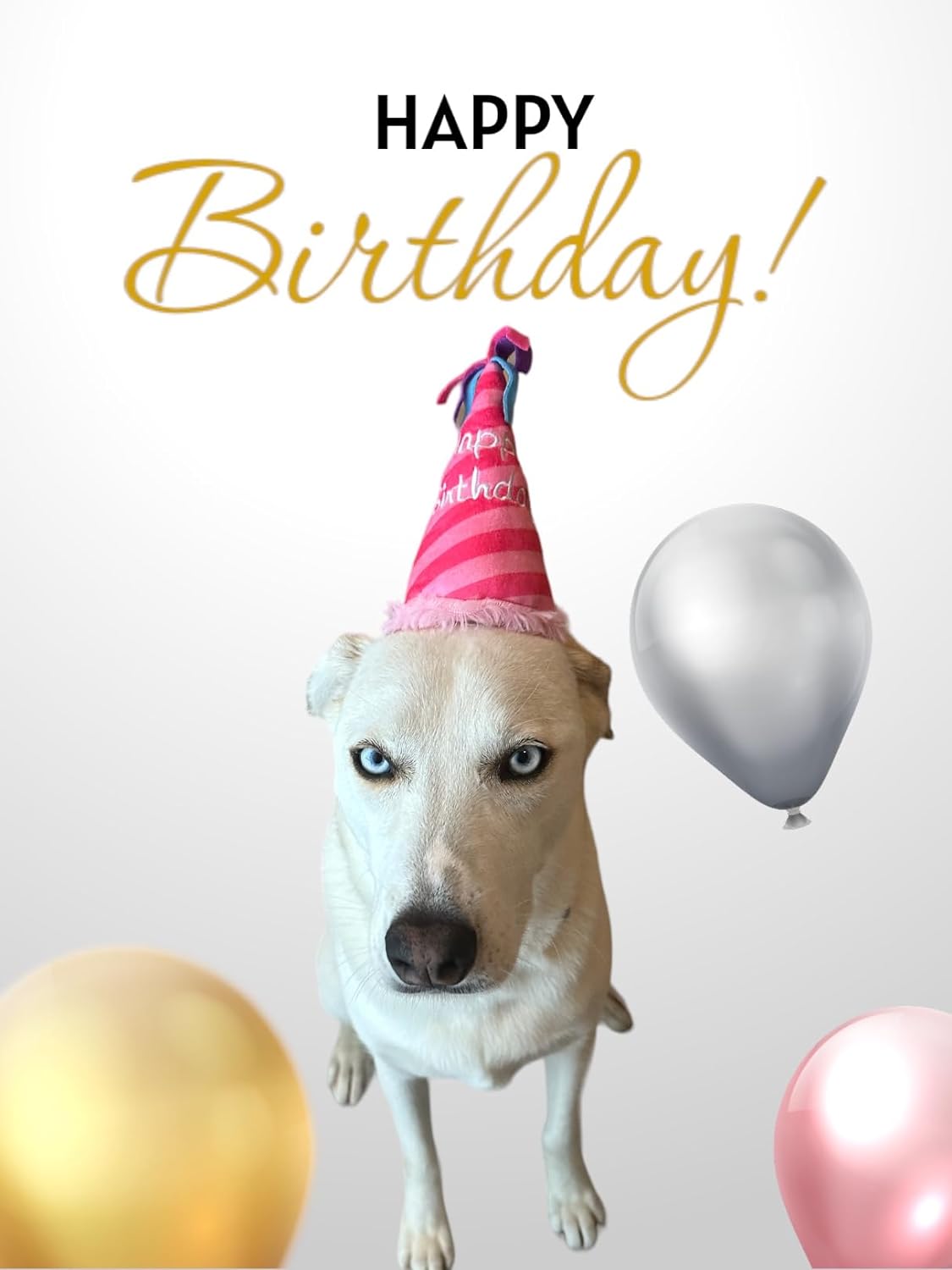 Pink Birthday Hat Dog Toy - Glow Pups