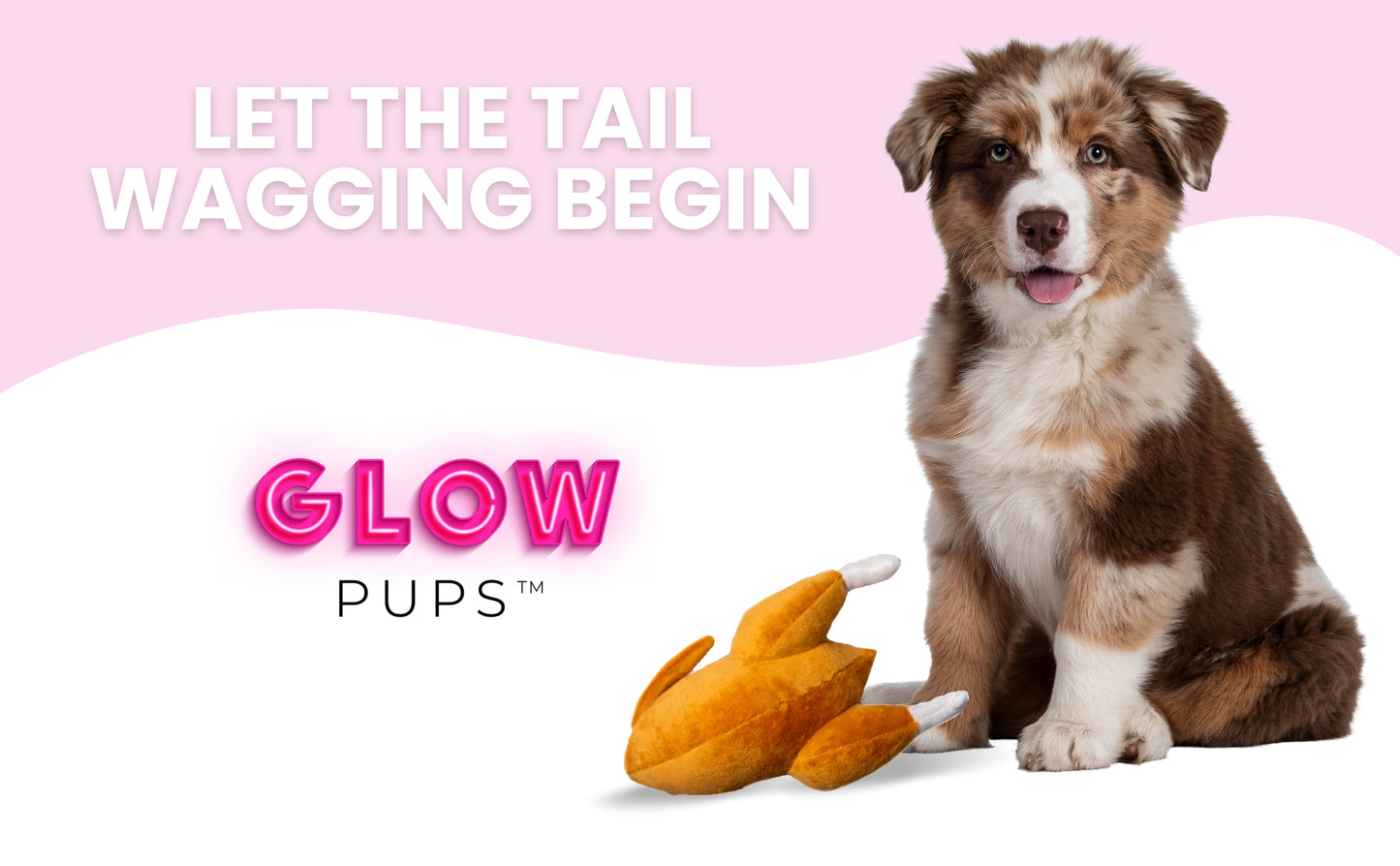 Thanksgiving Squeaky Plush Turkey Dog Toy - Glow Pups