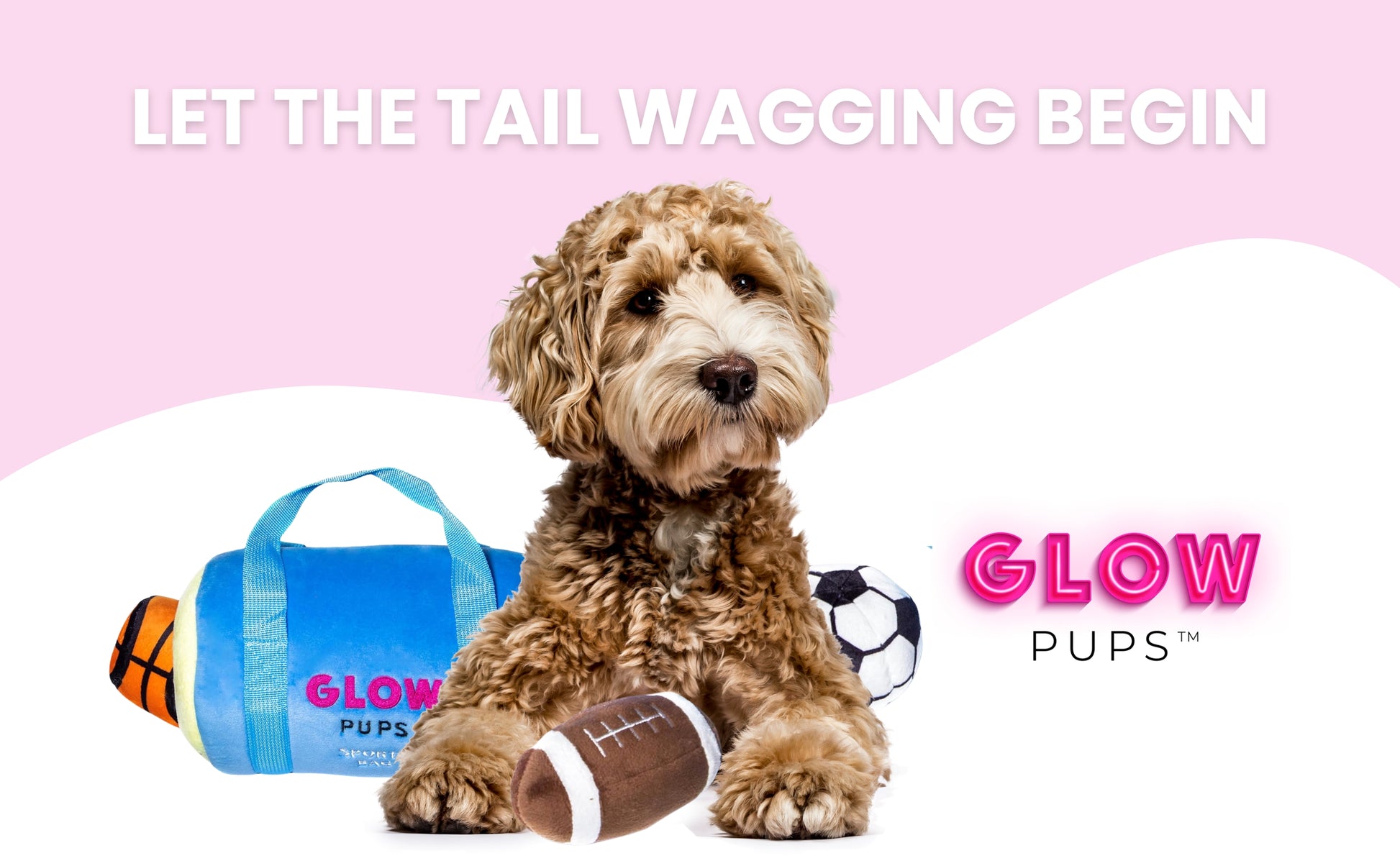 Sports Bag Hide & Seek Dog Toys - Glow Pups
