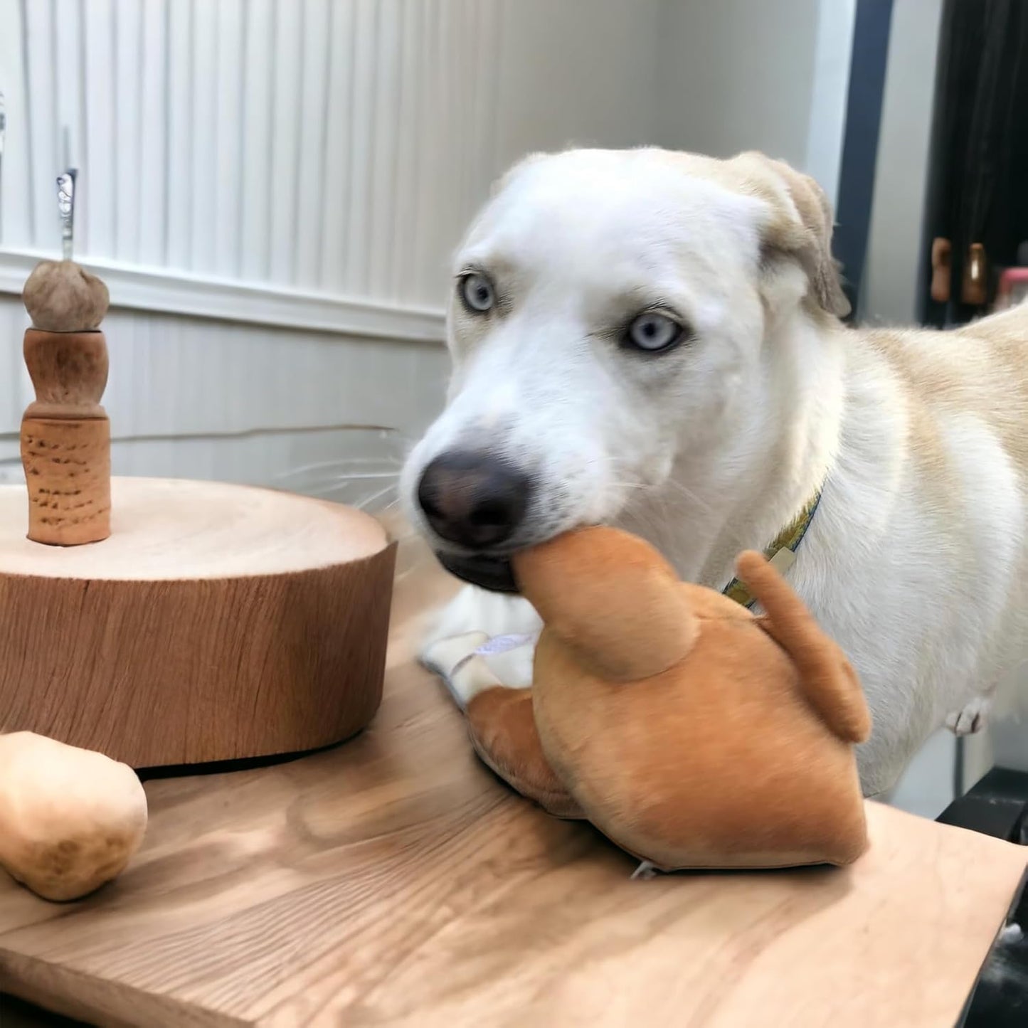 Thanksgiving Squeaky Plush Turkey Dog Toy - Glow Pups