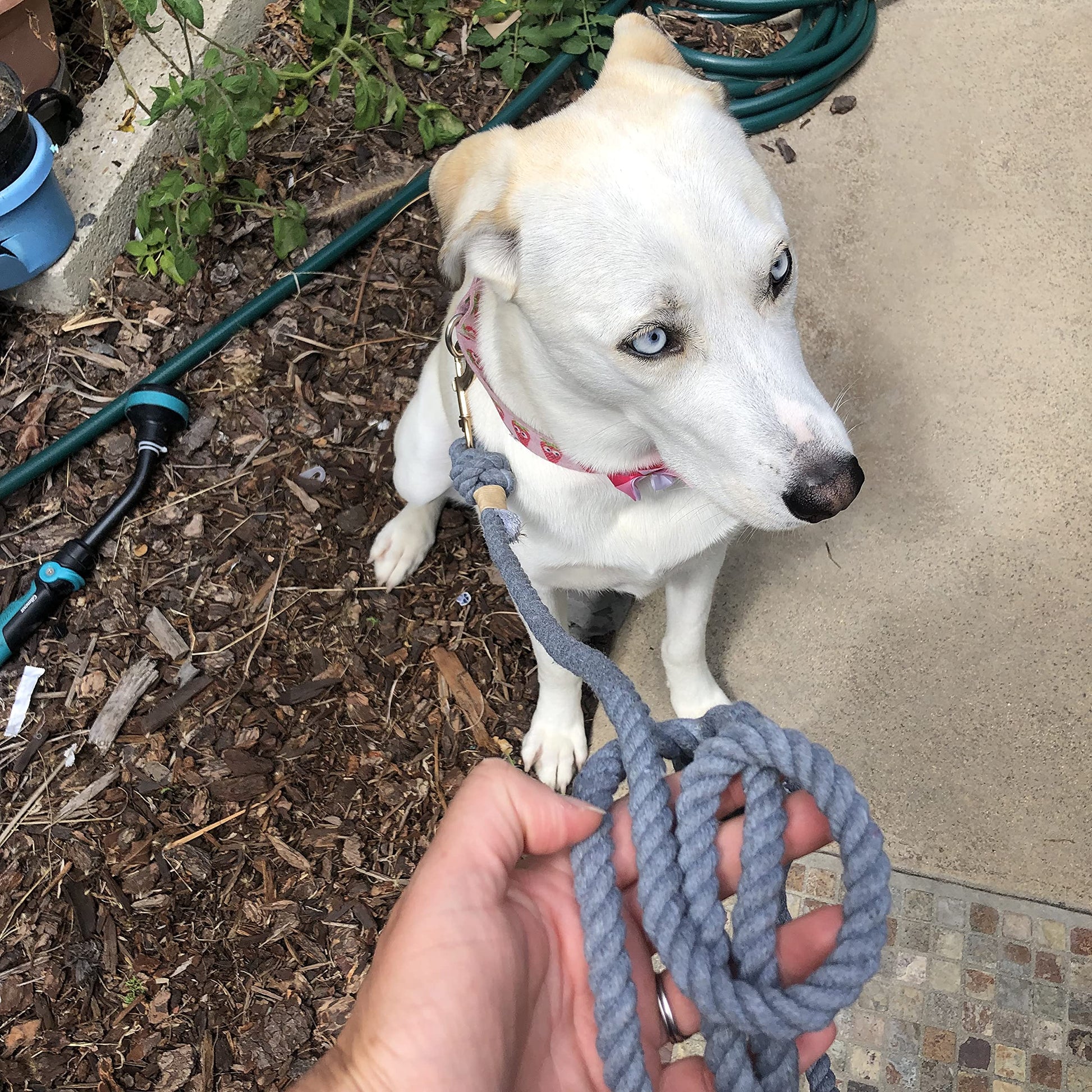 Grey Boho Chic Style Rope Leash - Glow Pups