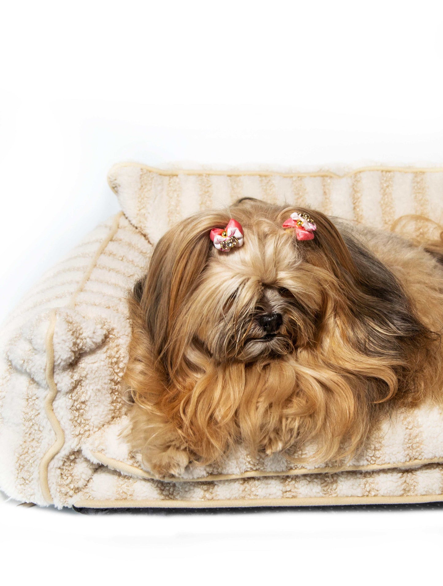 Glow Pups Cozy Beige And Cream Striped Sofa Dog Bed For Relaxed Pets And Neutral Home Decor by Glow Pups
