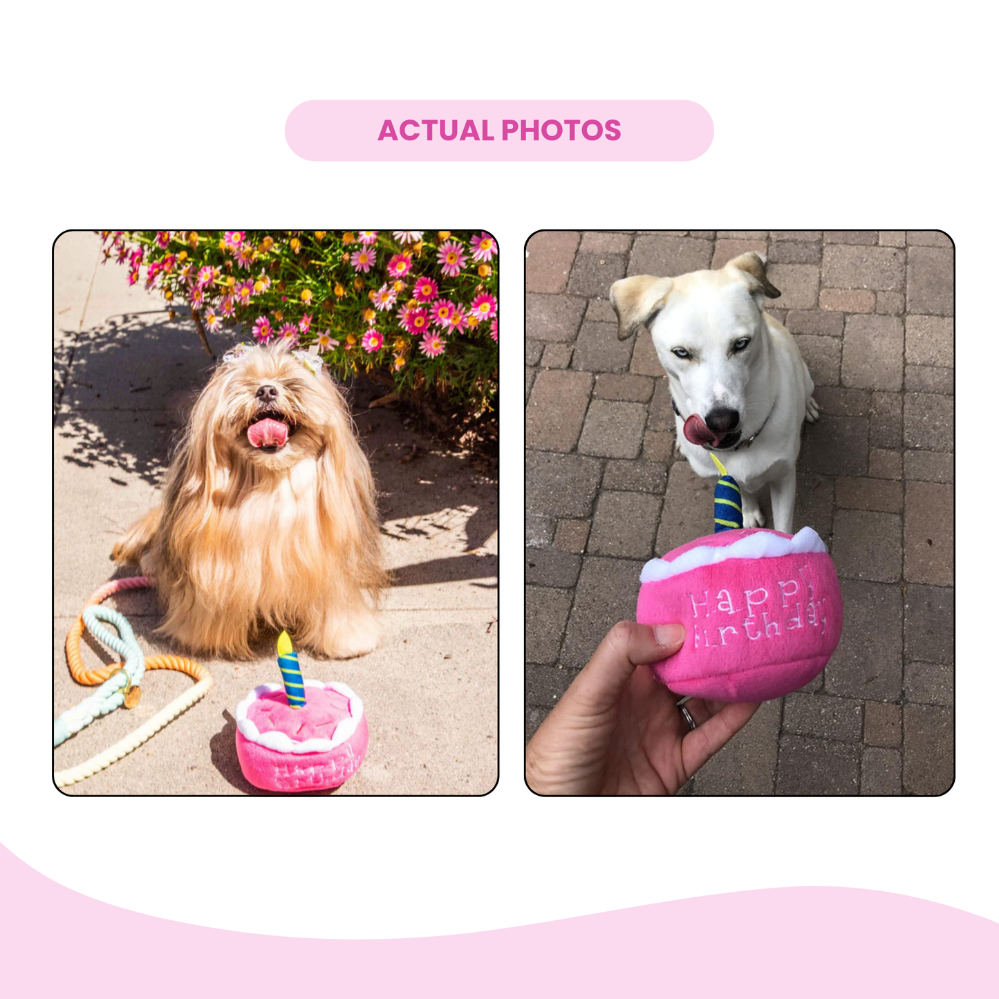 Pink Birthday Cake Plush Dog Toy - Glow Pups