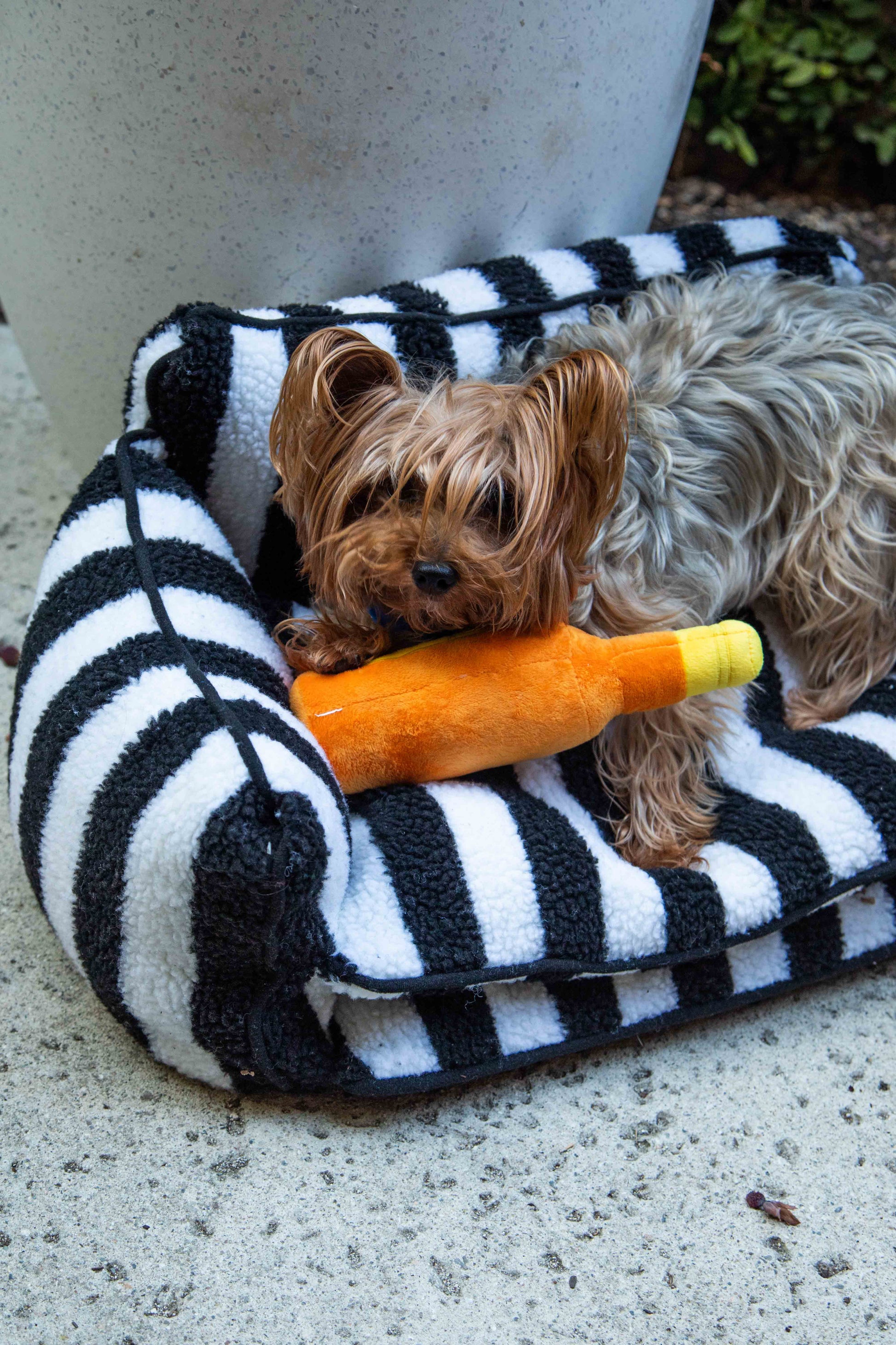 Chic Comfort Black and White Striped Sofa Dog Bed - Glow Pups
