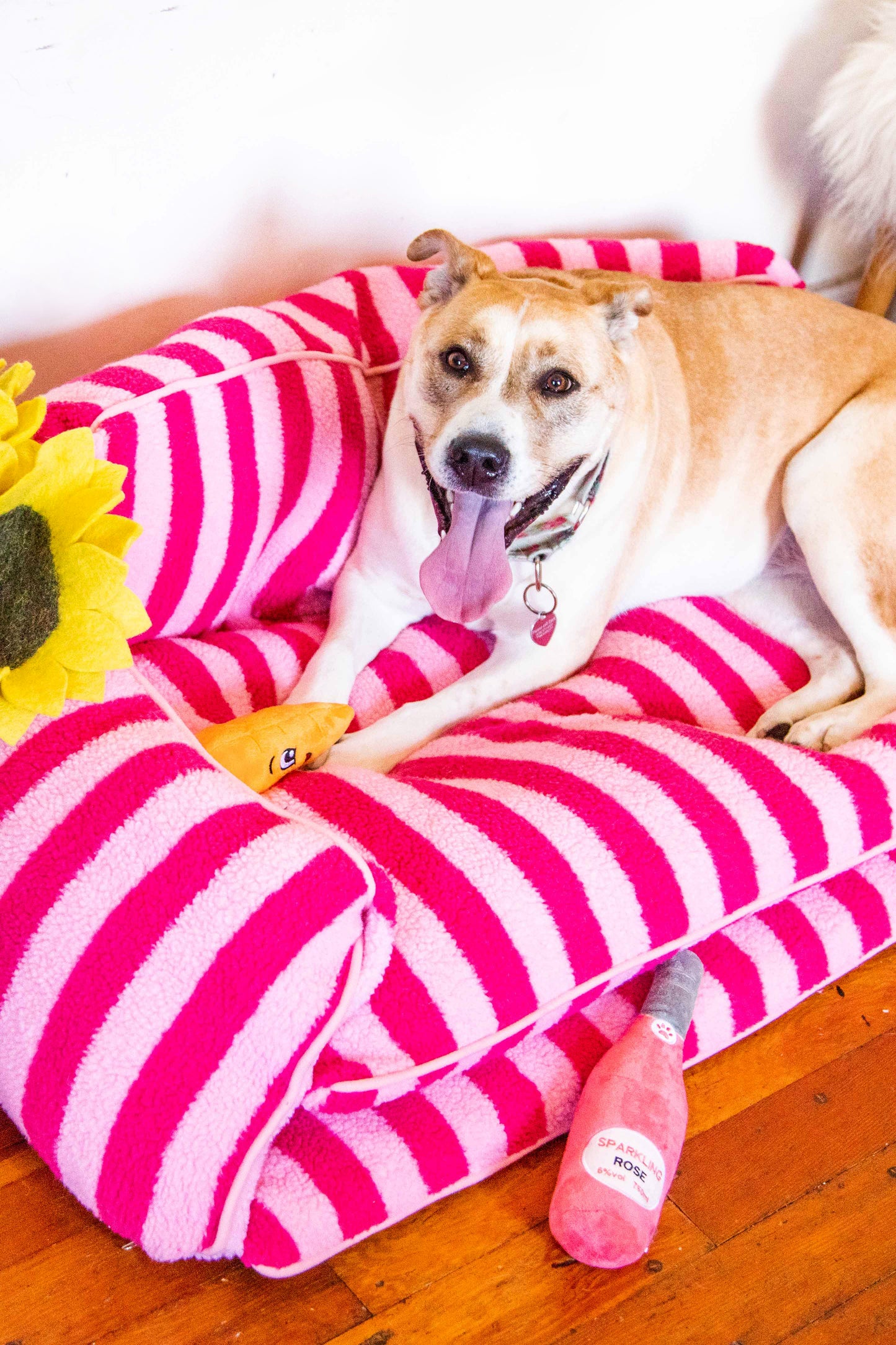 Pretty Pink Striped Dog Bed - Glow Pups