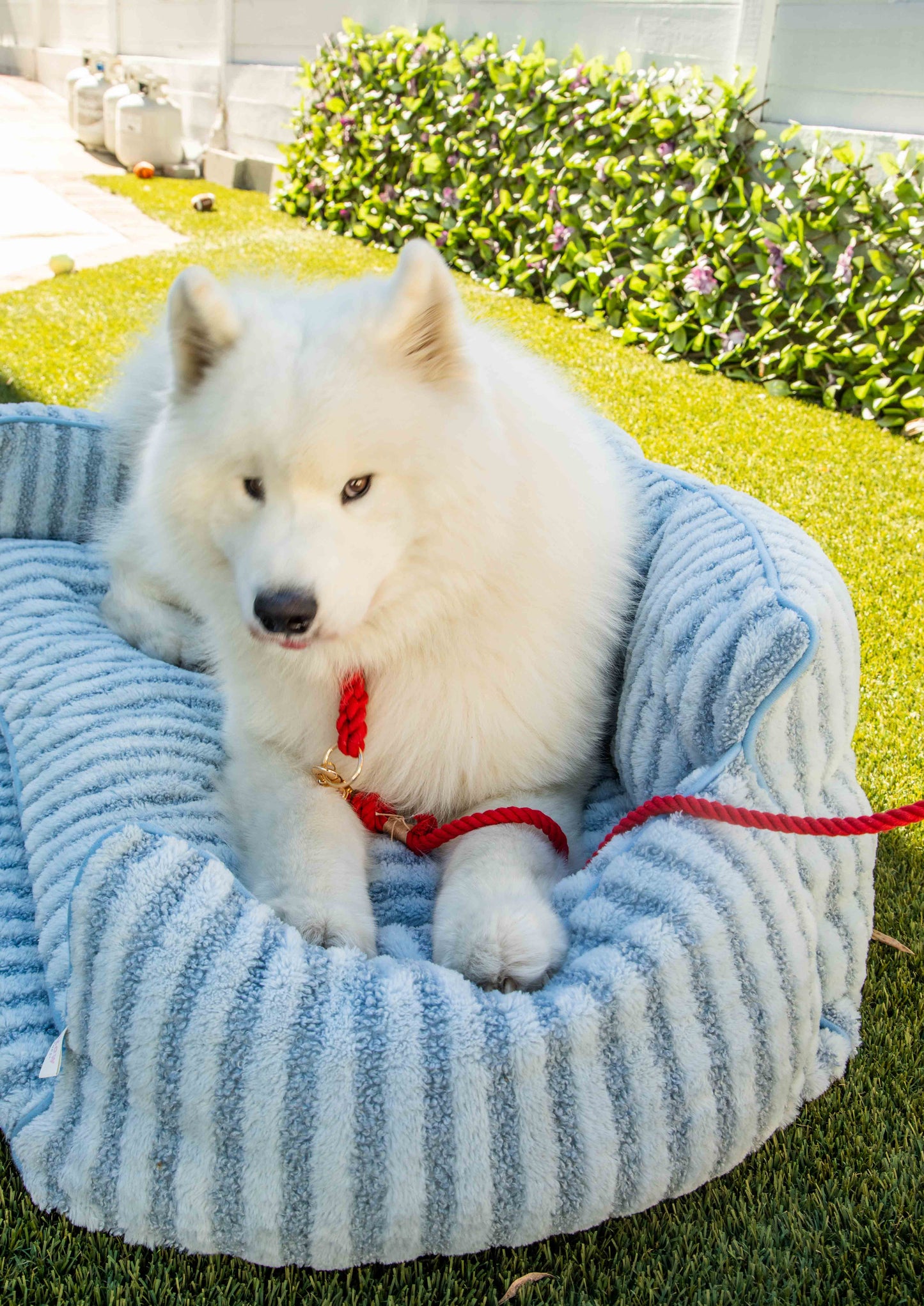 Red Boho Chic Style Dog Leash - Glow Pups