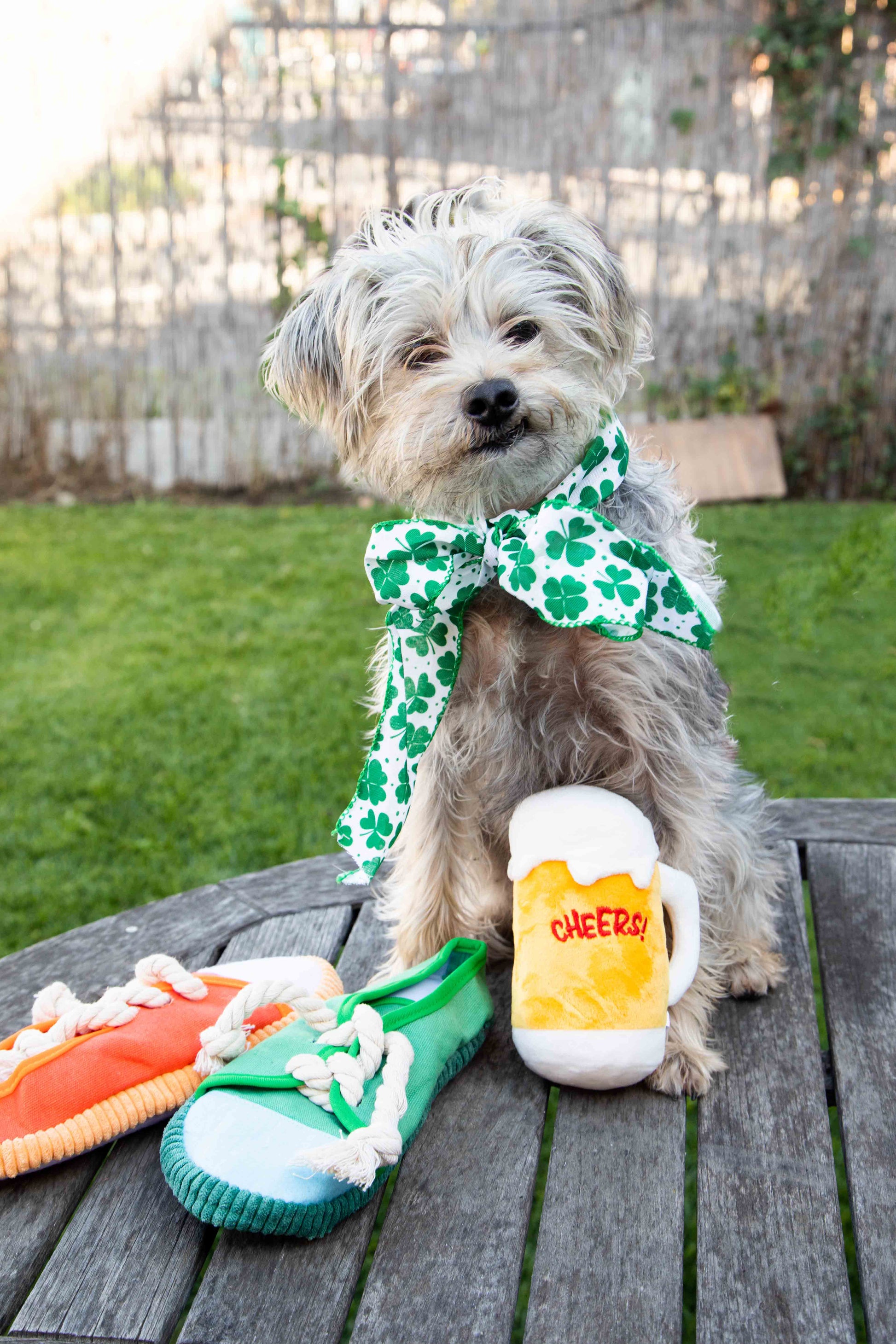 2 Pack Squeaky Shoes with Lace Dog Toys - Glow Pups