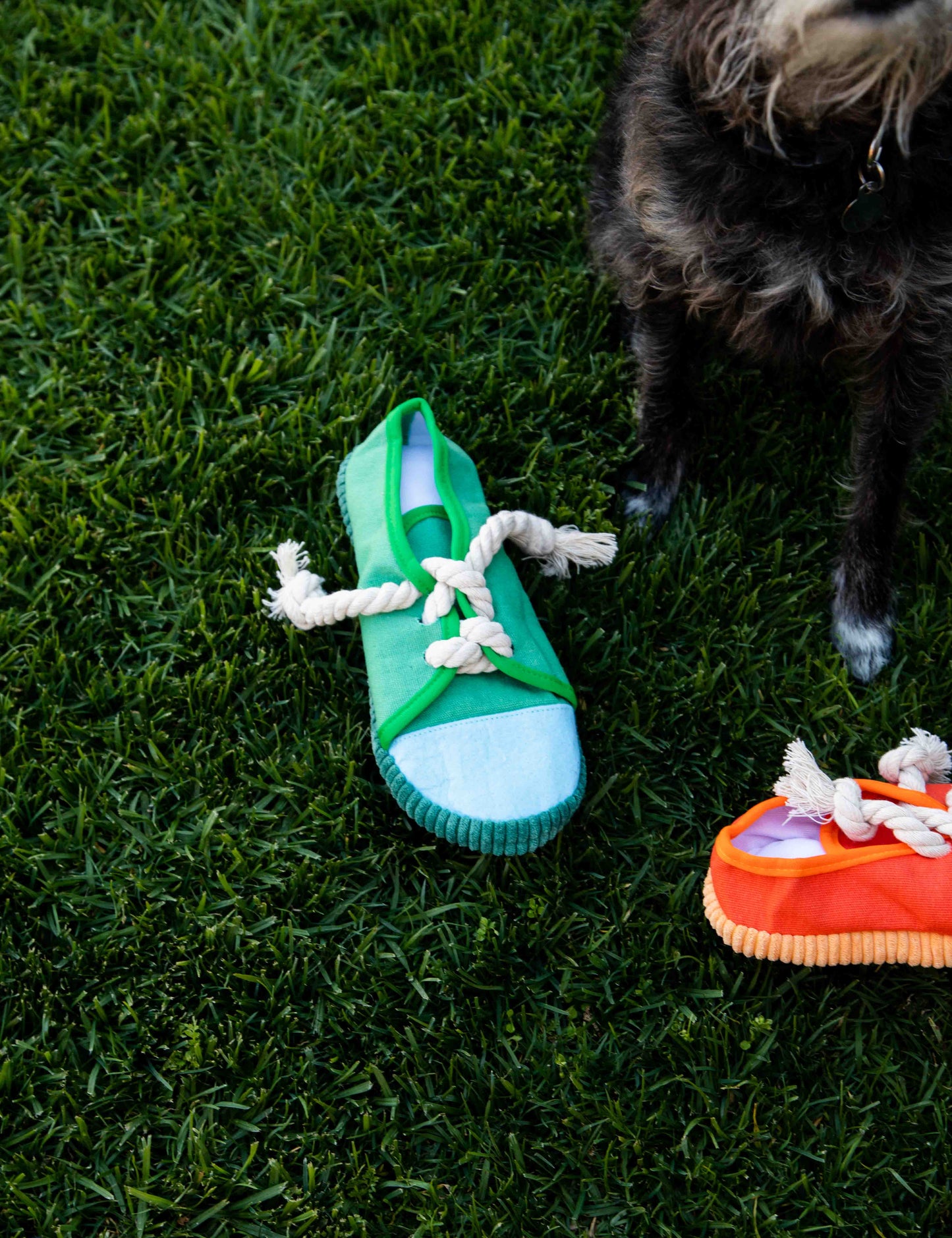 2 Pack Squeaky Shoes with Lace Dog Toys - Glow Pups