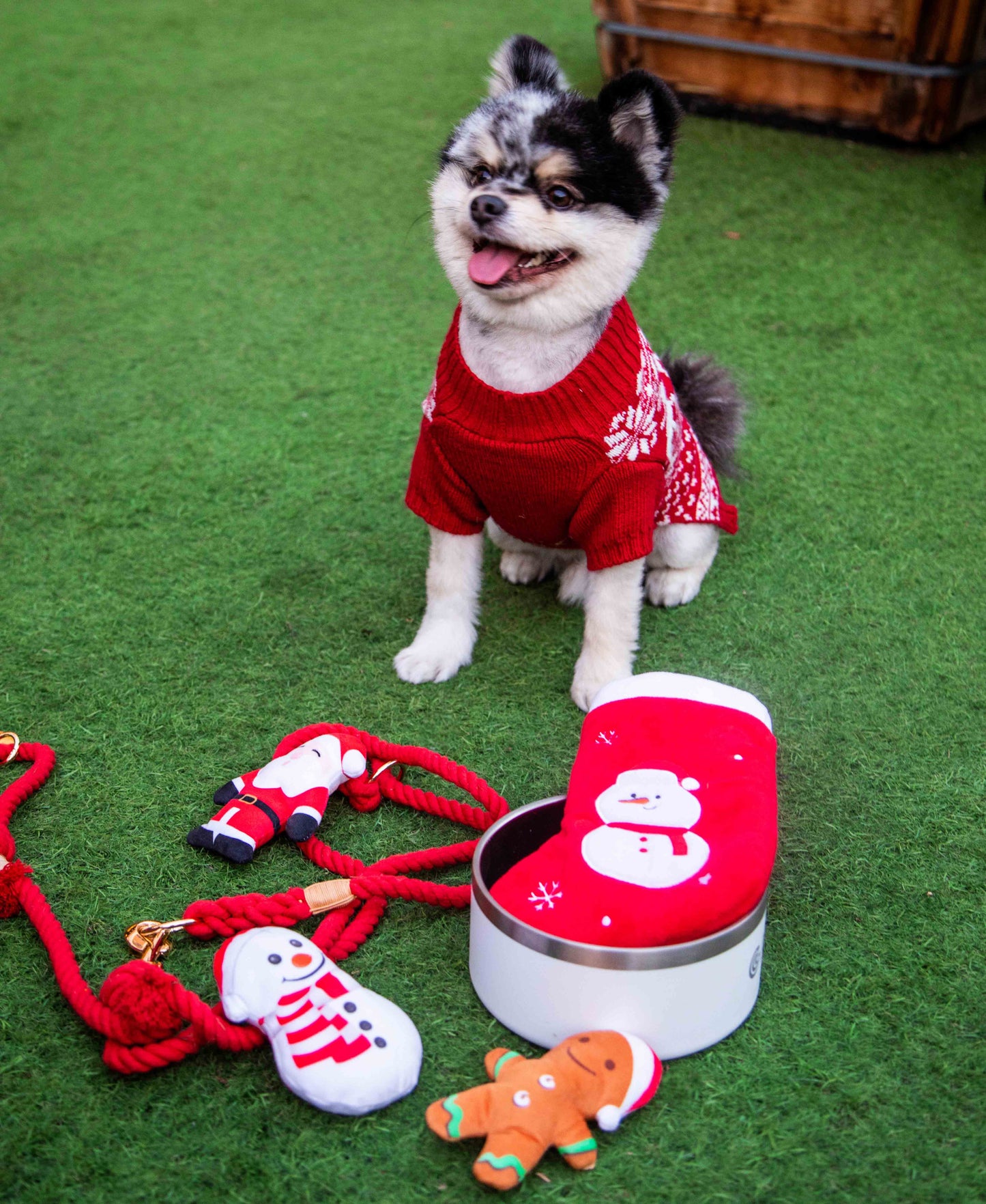 Christmas Stocking Dog Toy - Glow Pups