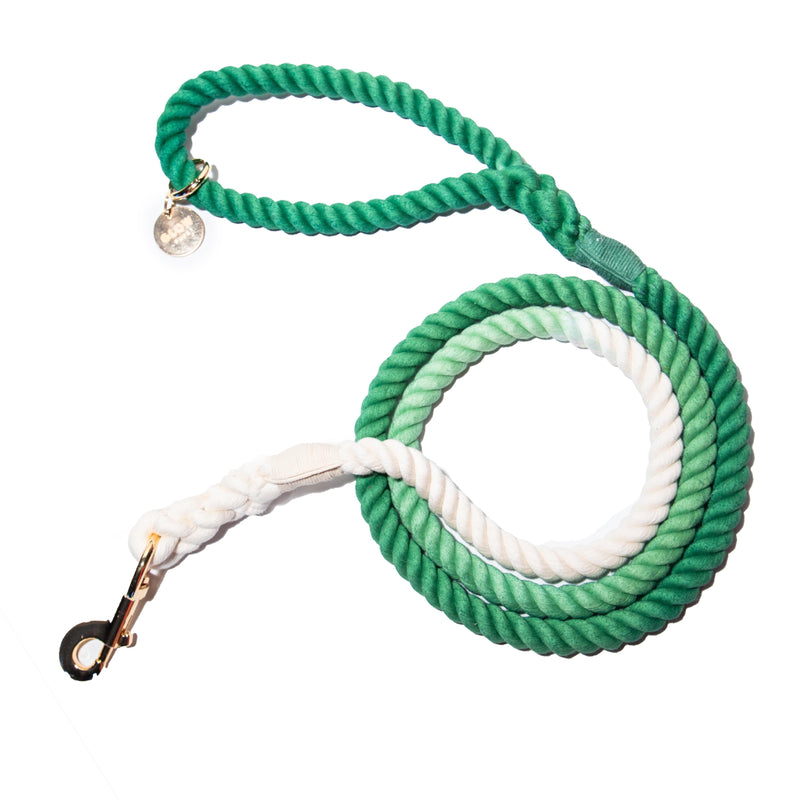 Green and White Tie Dye Dog Leash - Glow Pups