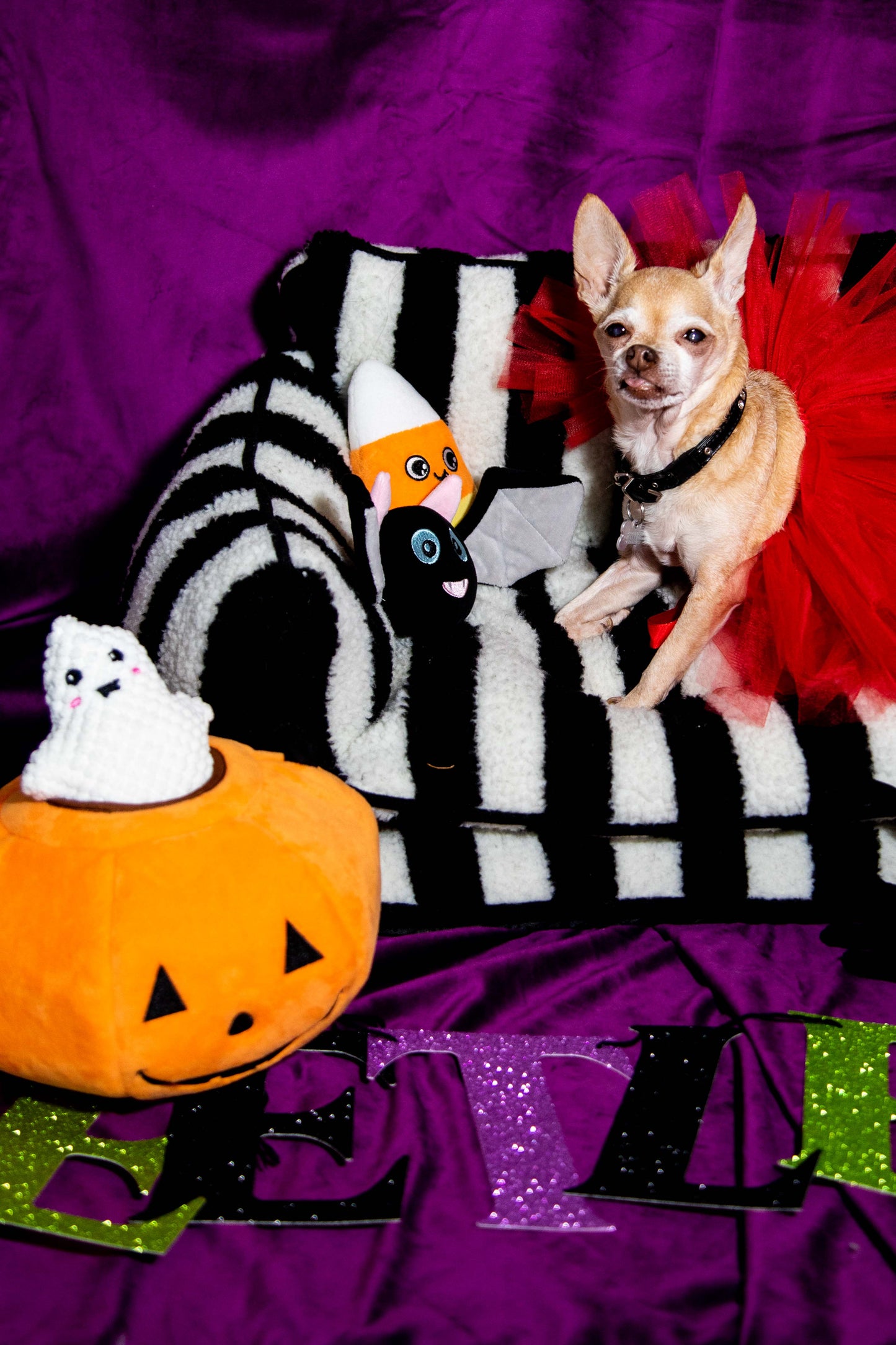 Halloween Jack O Lantern Hide and Seek Dog Toy that Squeaks and Crinkles - Glow Pups