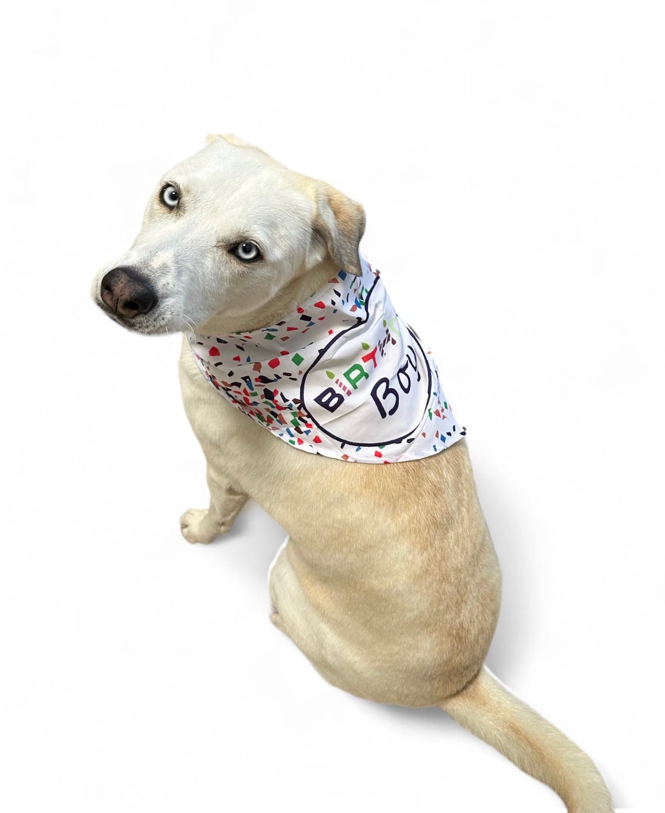 Birthday Bandanas - Glow Pups