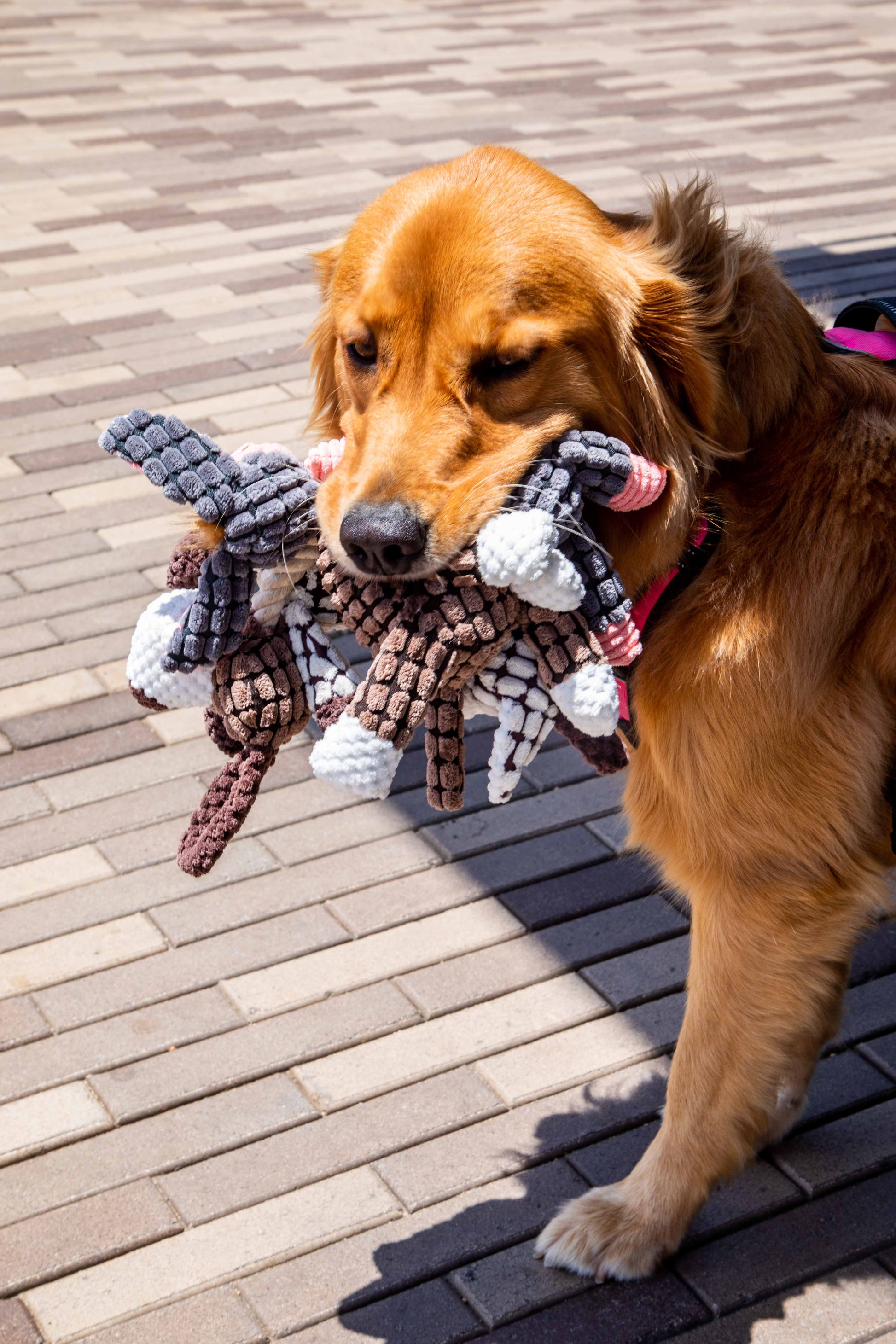 3 Pack Farm Friends Plush Toy Set - Donkey, Cow and Dog - Glow Pups