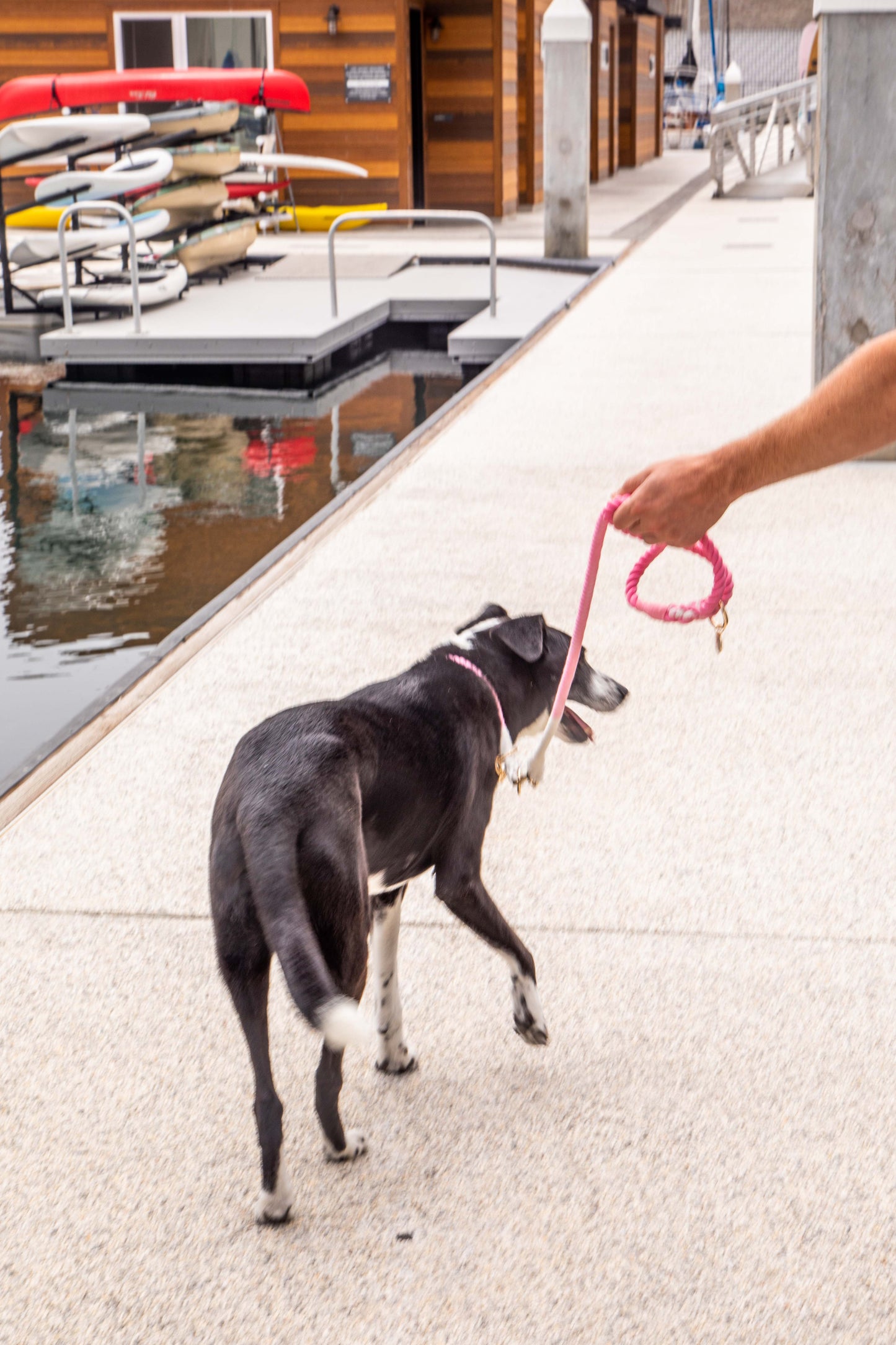Pink and White Tie Dye Slip Collar