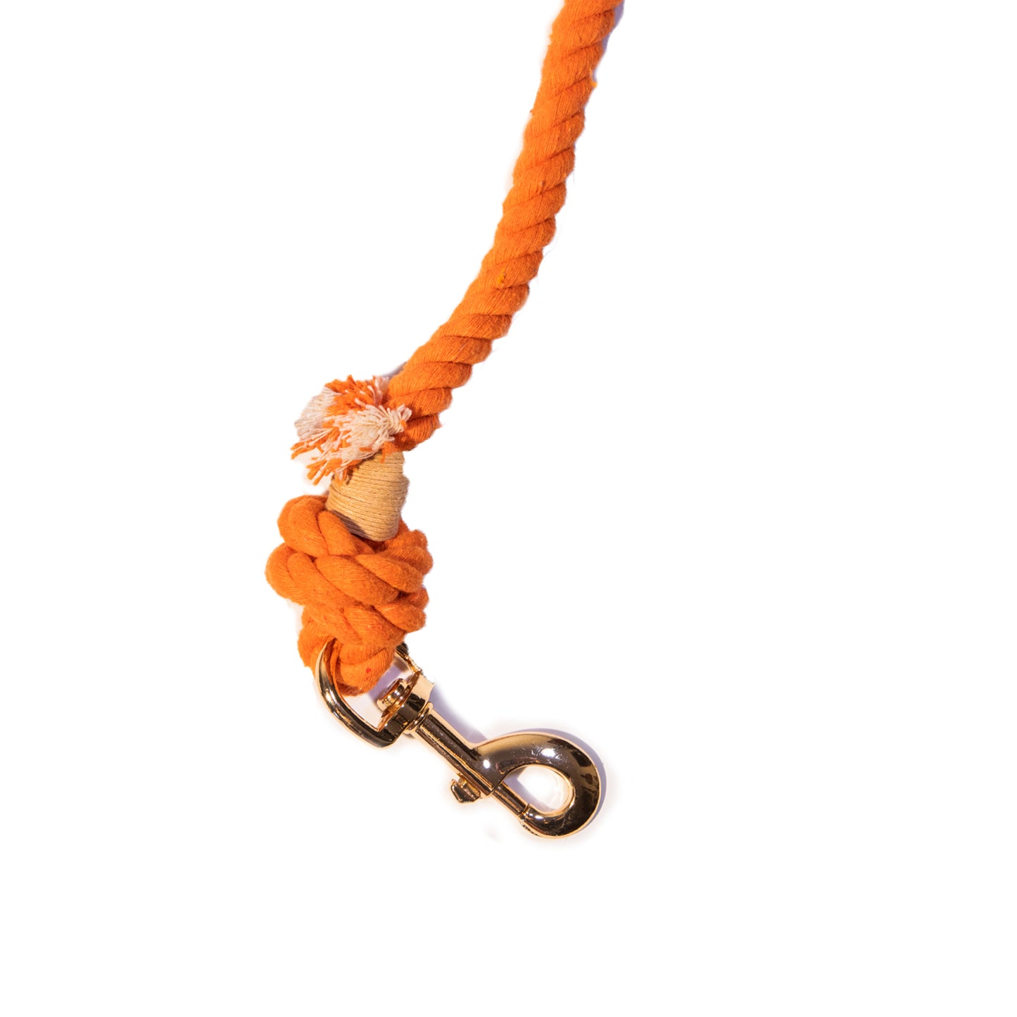 Orange Boho Chic Style Leash - Glow Pups
