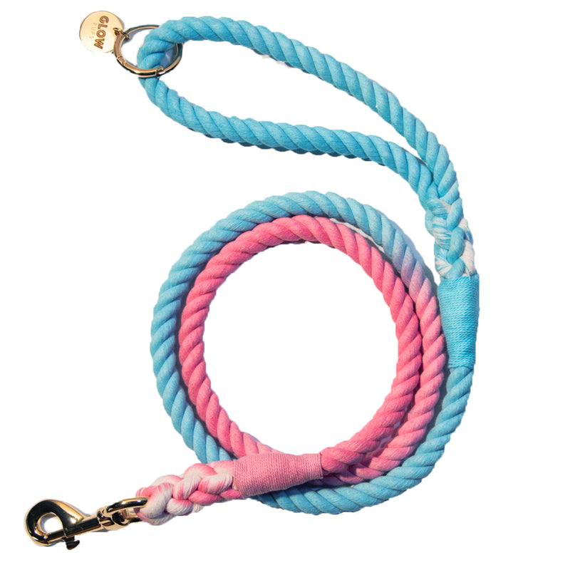 Pink and Blue Tie Dye Dog Leash - Glow Pups