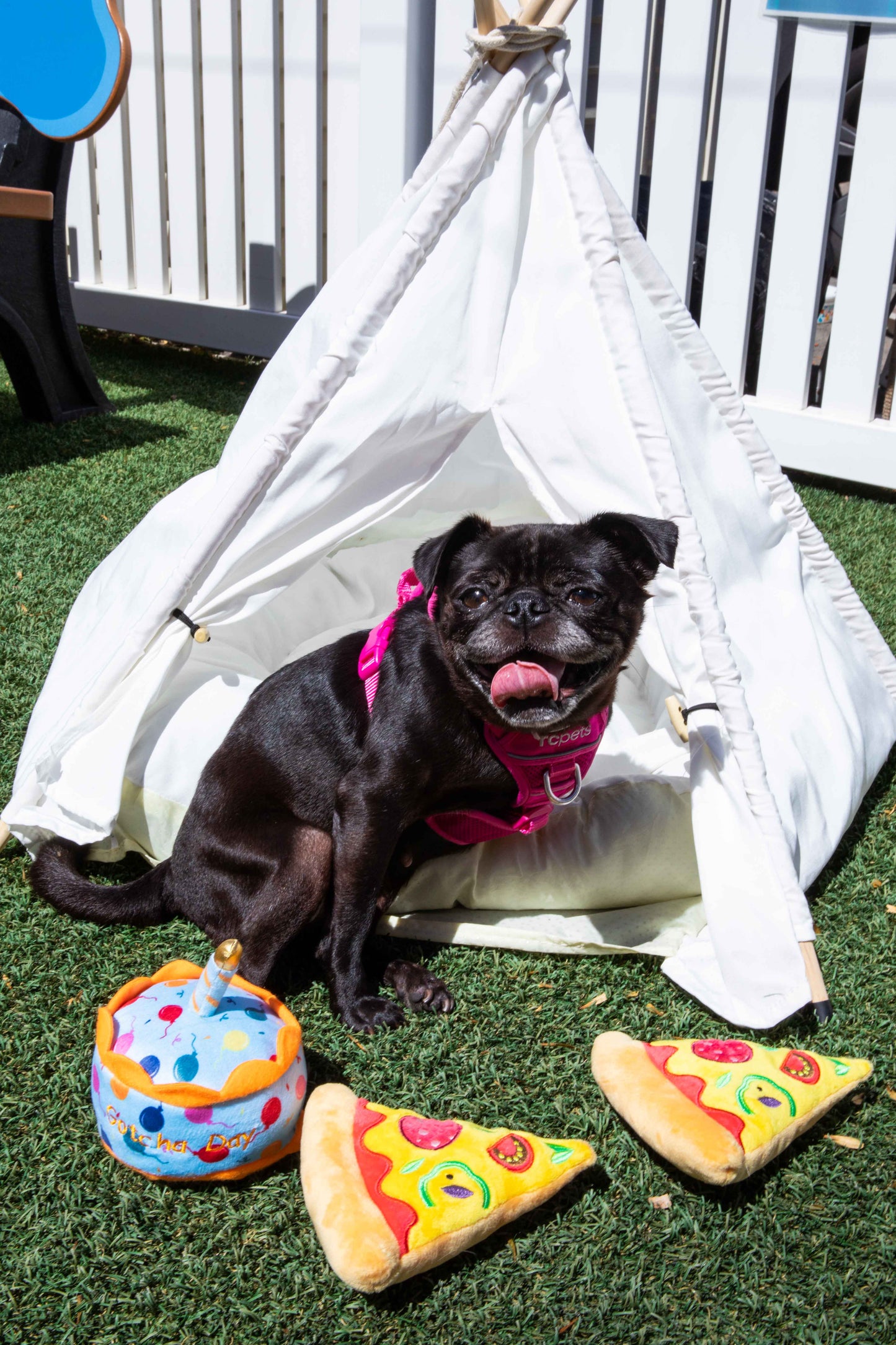 Squeaky Pizza Dog Toys - Glow Pups