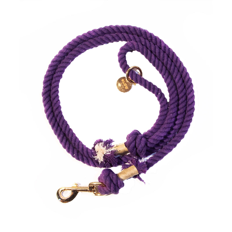 Purple Boho Chic Style Dog Leash - Glow Pups