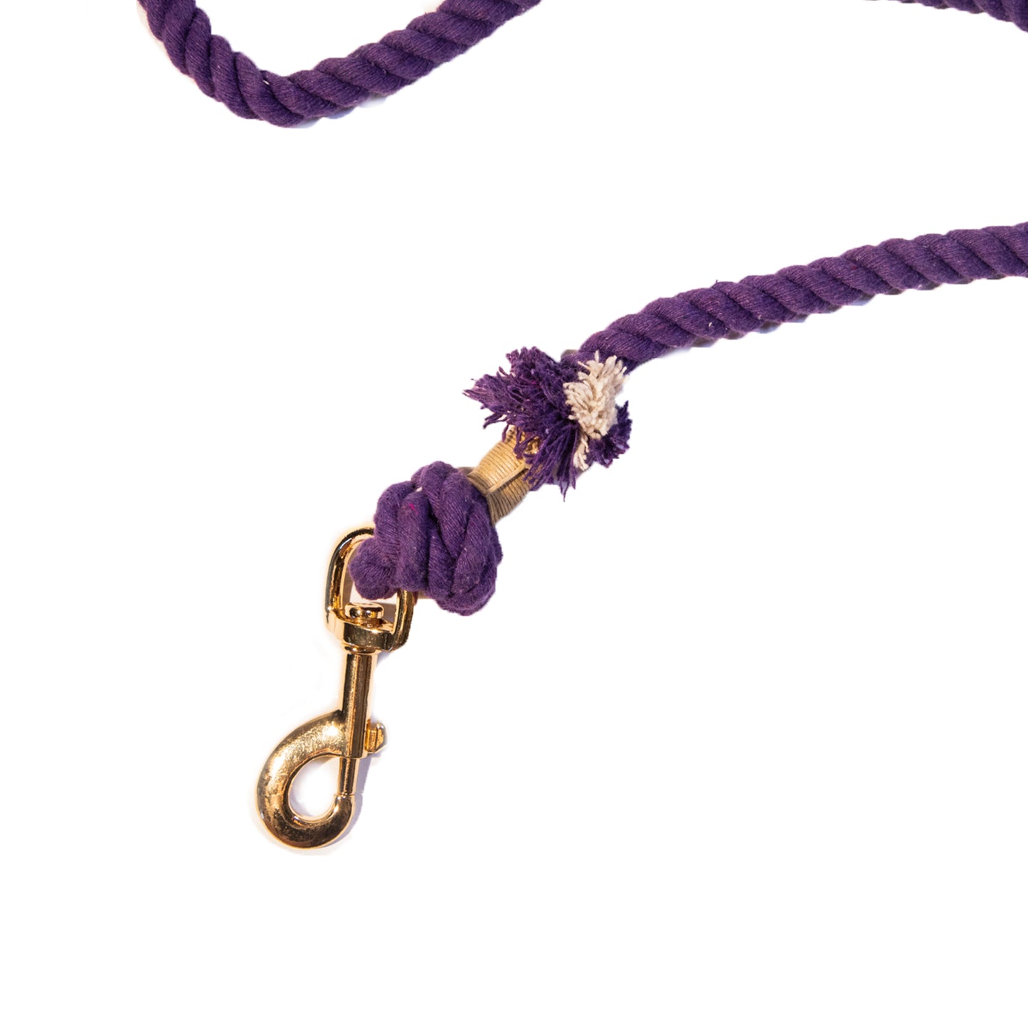 Purple Boho Chic Style Leash - Glow Pups