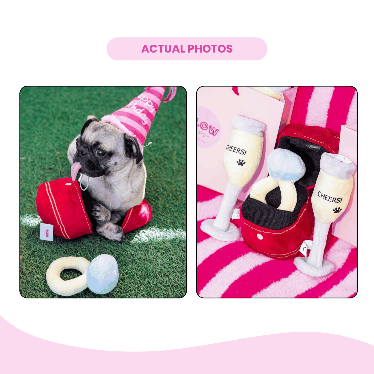 Squeaky Engagement Ring Dog Toy - Glow Pups by Glow Pups