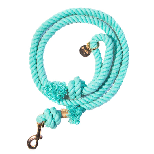 Turquoise Boho Chic Style Leash - Glow Pups