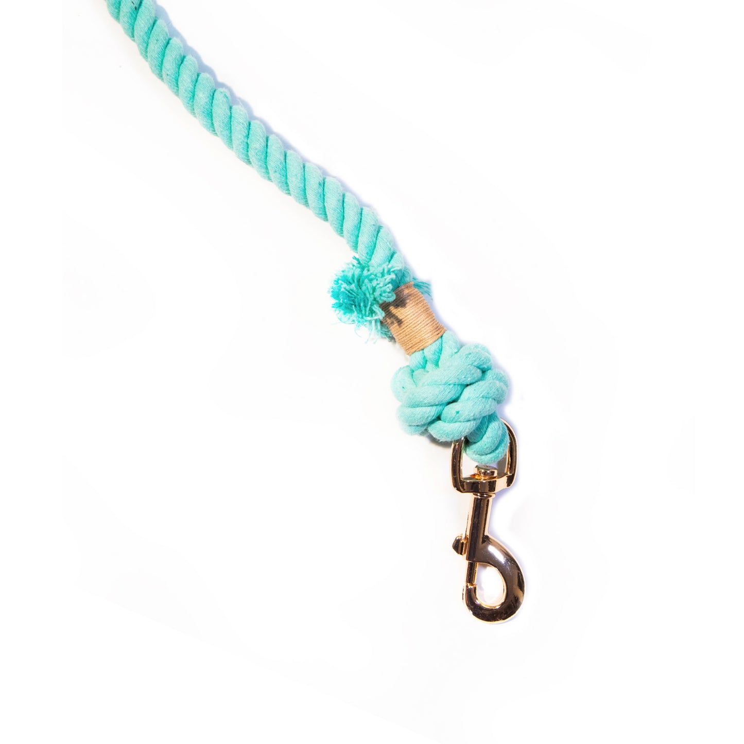 Turquoise Boho Chic Style Leash - Glow Pups