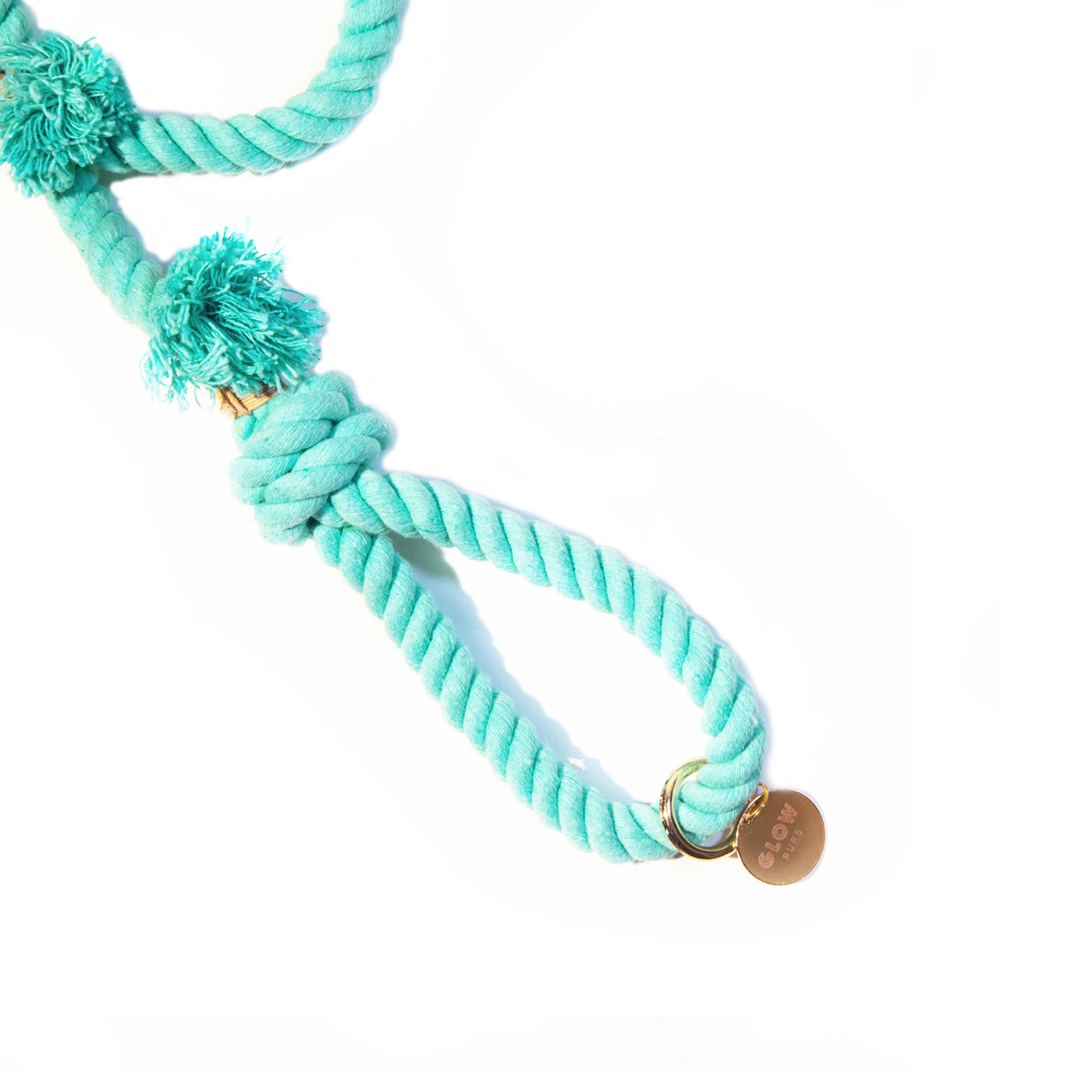 Turquoise Boho Chic Style Leash - Glow Pups