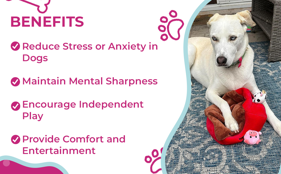 Hide & Seek Barnyard Adventure Dog Toy - Glow Pups